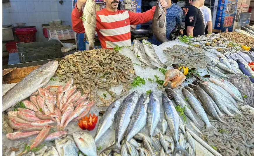 أسعار السمك اليوم للمستهلك السبت 22 يونيو 2024 سعر السمك البلطي في الاسواق