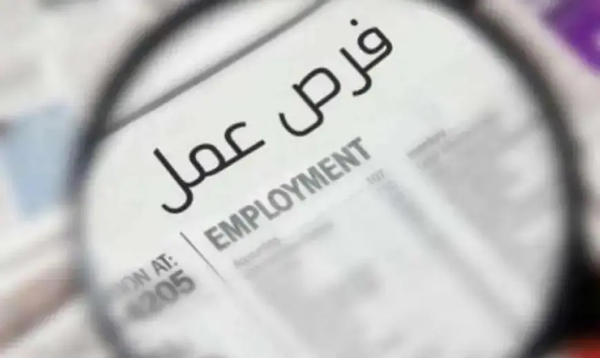 براتب 11 ألف جنيه.. غدا بدء التقديم لوظائف وزارة الشباب والرياضة