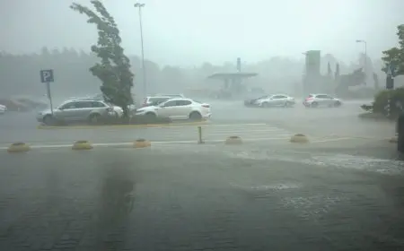 النشرة الجوية ليوم الخميس بعد المرور للعاصفة الترابية