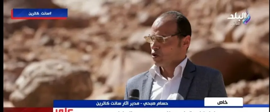 كشف عالم أثري عن سر عمر شجرة العليقة المقدسة التي تعود لـ3300 سنة في سانت كاترين