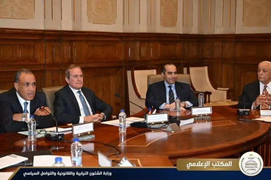وزيرا الخارجية والعدل يشاركان في اجتماع لجنة حقوق الإنسان بمجلس الشيوخ