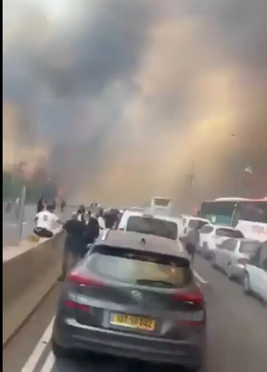 إسرائيل في قلب الحدث: 50 فريق إطفاء و12 طائرة في معركة مع الحرائق