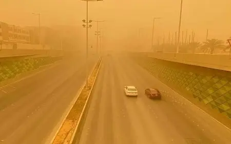 هل ستزداد العاصفة الترابية قوة؟.. توقعات الأرصاد تكشف عن مفاجآت طقس اليوم الخميس