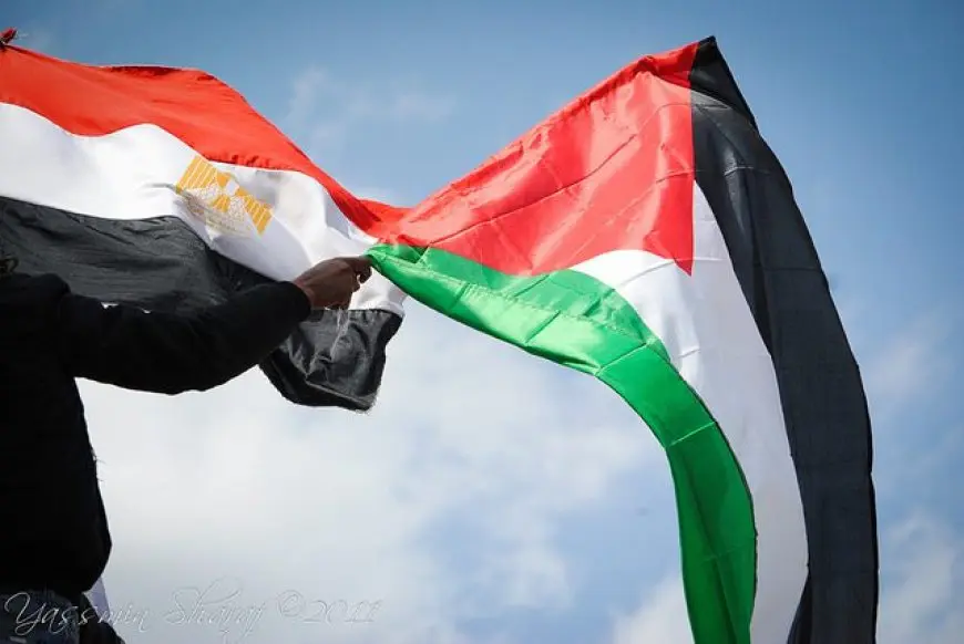 ممثلة مصر تهزم العالم! تعرف على الدول الـ 40 التي تدعم حقوق الفلسطينيين في المحكمة الدولية