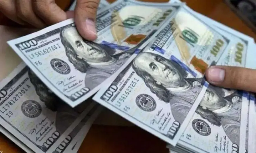 كشف سعر الدولار مقابل الجنيه اليوم: لن تصدق ماذا حدث!