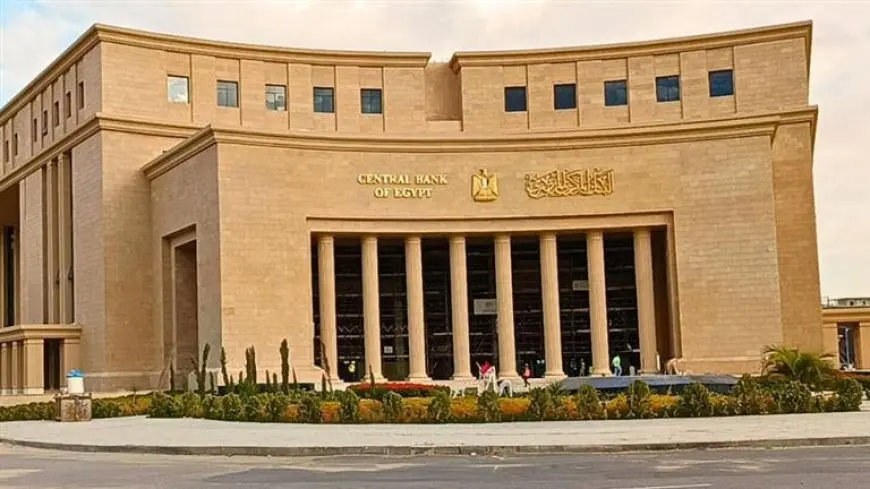 البنك المركزي يفاجئ الجميع بارتفاع صاروخي لاحتياطيات النقد الأجنبي إلى 48.1 مليار دولار في أبريل!