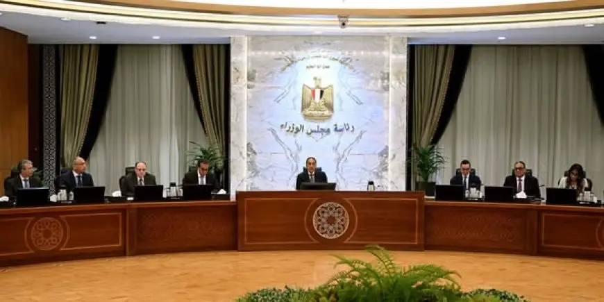 “كل ما تحتاج معرفته حول خطة رئيس الوزراء لتيسير دخول الماركات العالمية إلى السوق المصرية!”