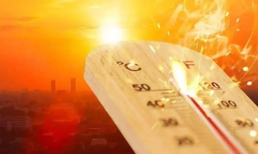الحرارة في تصاعد: اكتشف متى ستصل إلى ذروتها اليوم!