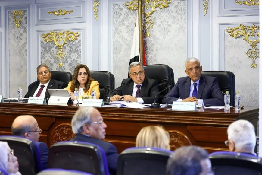 “وزيرة التنمية المحلية تطلق دعوة للقطاع الخاص: اكتشف كيف يمكنك الاستثمار في مشروعات البنية التحتية!”