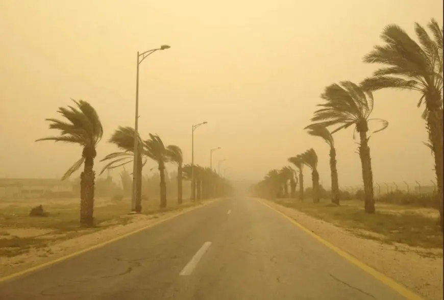 طقس حار وتحذير هام لمن يعانون من الحساسية! اقرأ التفاصيل الكاملة حول درجات الحرارة والظواهر الجوية!