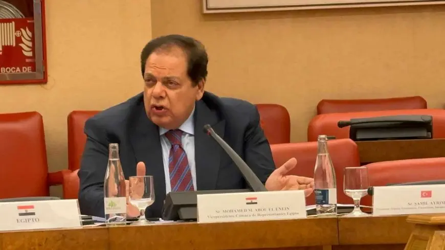 أبو العينين يستعرض أمام رجال الأعمال الصينيين فرص الاستثمار الحصرية في مصر!