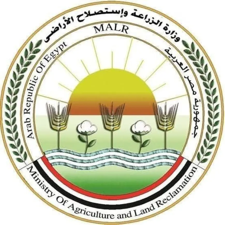 وزير الزراعة يفجر قنبلة الوقاية من الأمراض! تعرف على جهود حماية الدواجن في المحافظات العربية الآن