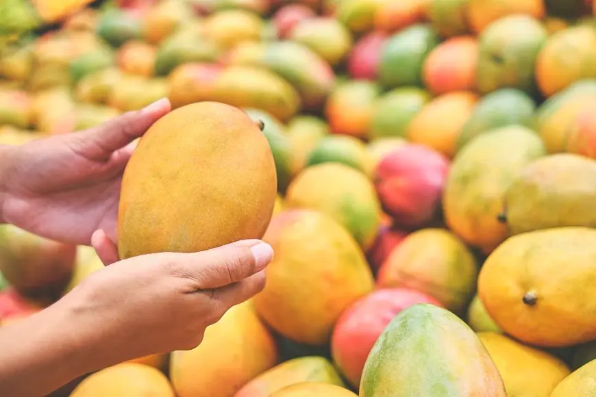 هل تفاجأت مصر بفاتورة عصير المانجو بمليارات الدولارات؟ الكشف بواسطة مستشار رئيس الوزراء
