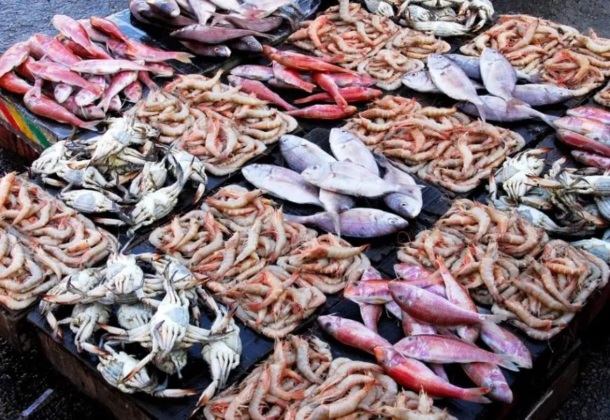 كل ما تحتاج معرفته عن أسعار الجمبري اليوم بسوق العبور! سعر البدء للكيلو 420 جنيهاً!