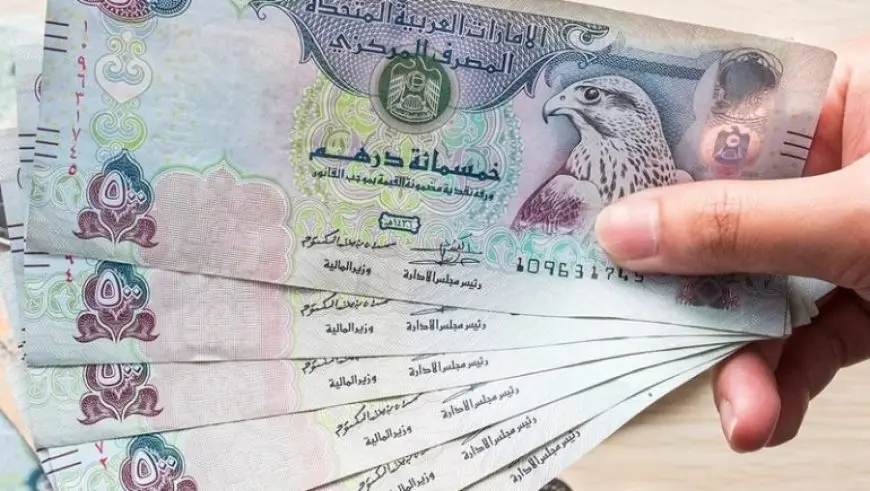 سعر الدرهم الإماراتي يتأرجح مقابل الجنيه اليوم.. اكتشف أسعار 6 بنوك!