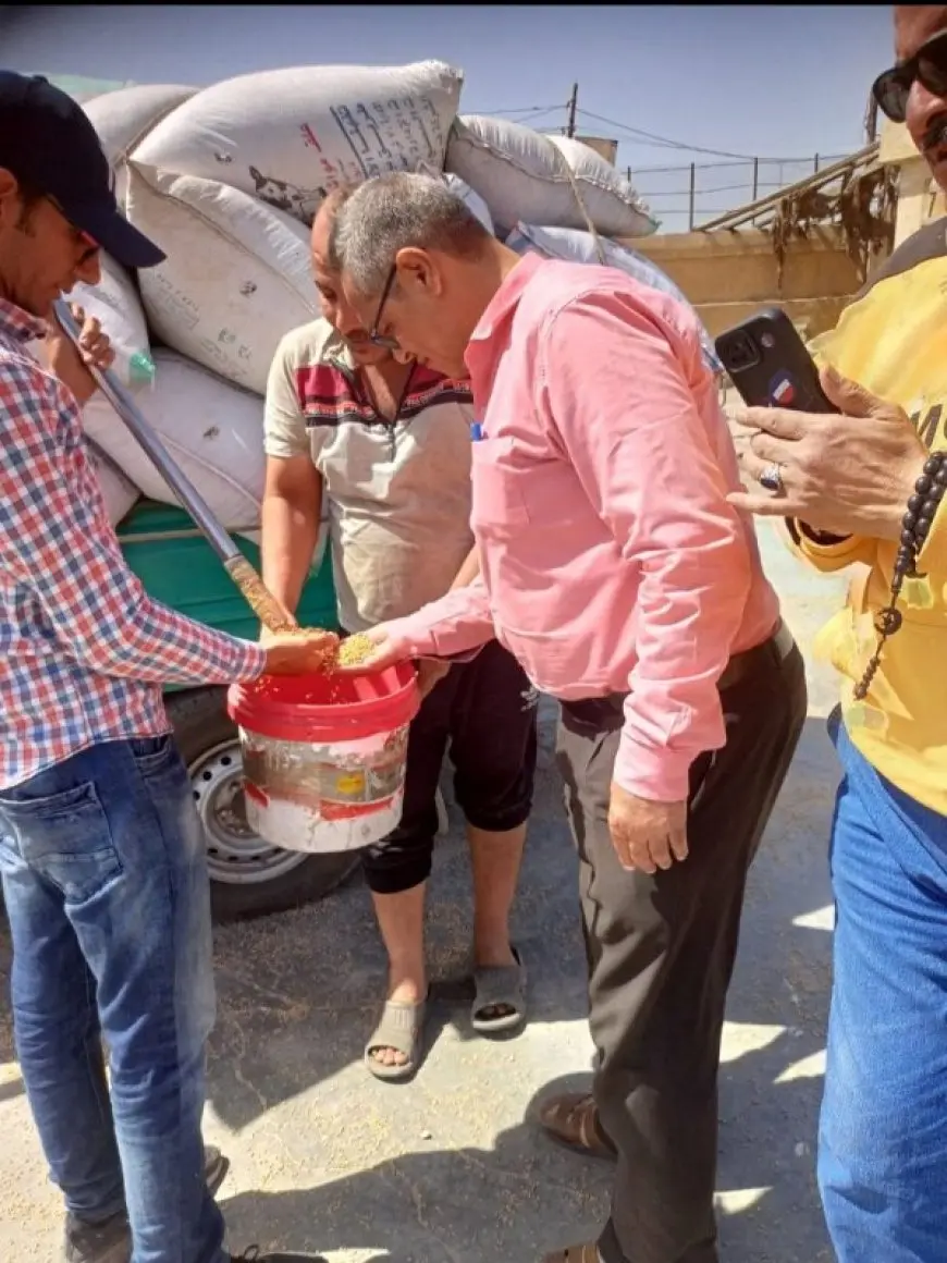 تحقق كيف تم توريد 576833 طن من القمح إلى المواقع التخزينية في الشرقية!