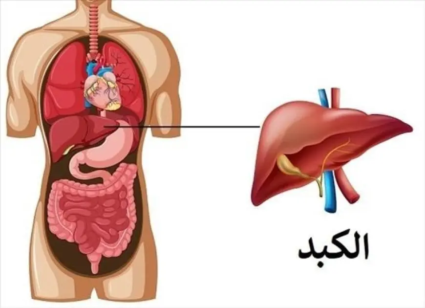 الكشف عن سرّ غير متوقع حول زيت الزيتون! احذر من هذا الخطر الصحي في عيد الأضحى
