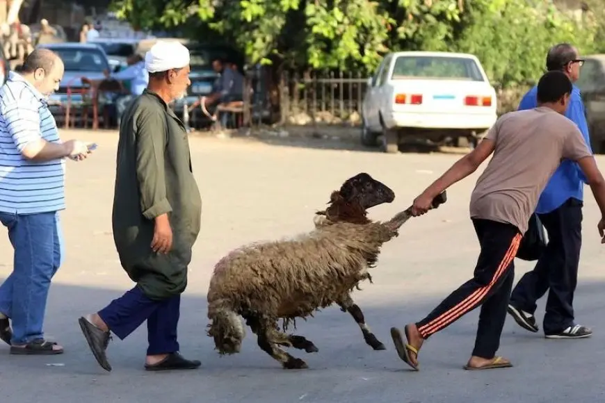 كيف احتفل الناس بعيد الأضحى عبر العصور؟ اكتشف التفاصيل الرائعة هنا!
