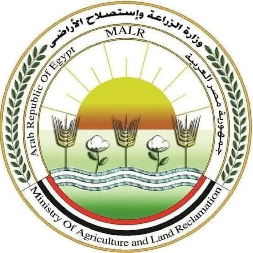المجازر الحكومية تستقبل أضحية بأعداد قياسية خلال أيام العيد!