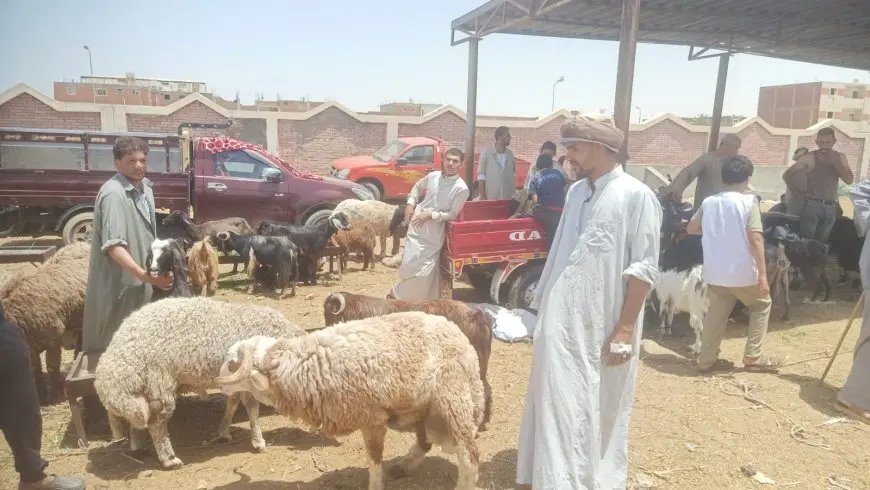 وبالفيديو: وزير الزراعة يشارك في جولة لجان المرور لضمان جودة أضاحي العيد – تعرف على التفاصيل!