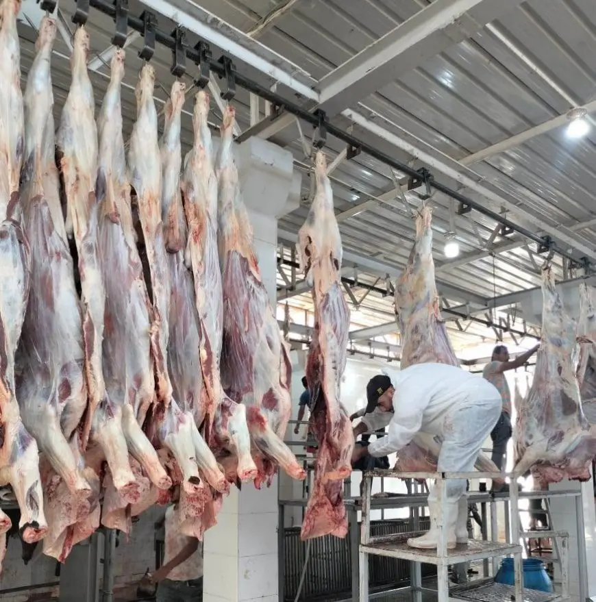 أسوان تفتح مجازرها لذبح الأضاحي بالمجان خلال أيام العيد!