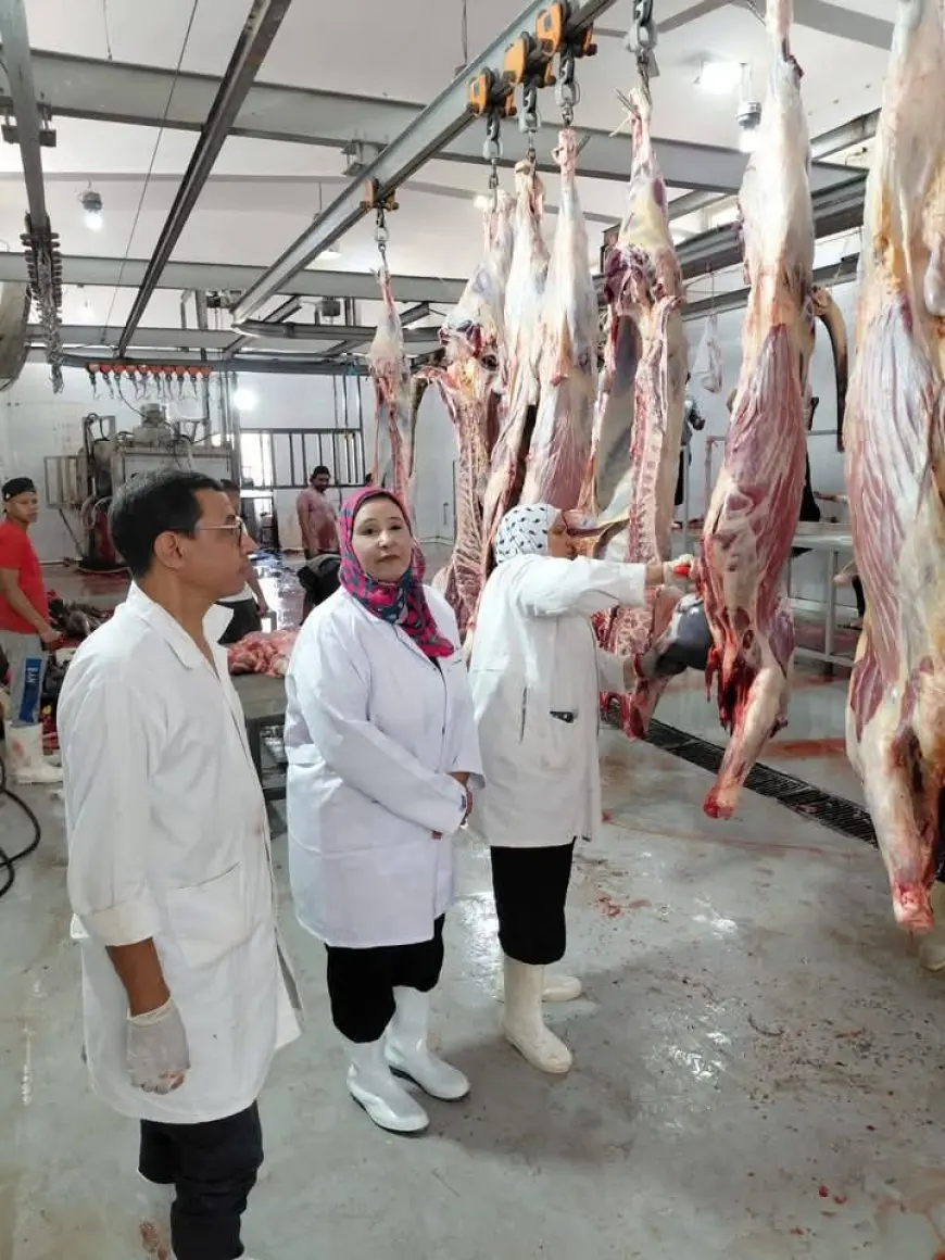 أكثر من 28 ألف أضحية تتوافد على المجازر الحكومية خلال 3 أيام! اكتشف التفاصيل الآن