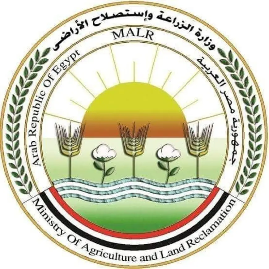 المجازر الحكومية تستقبل أضاحي العيد بأعداد هائلة في جميع أنحاء البلاد