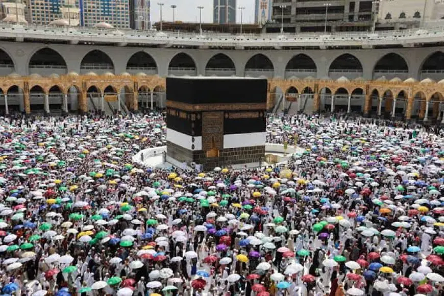 موسم الحج في عامنا هذا يحقق نجاحاً كبيراً ويتميز بالتنظيم الرائع!