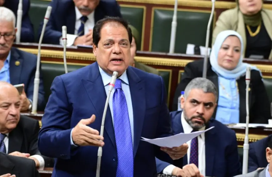 أبو العينين يكشف عن سر تخفيف العبء عن الدولة من خلال تعزيز مشاركة القطاع الخاص!