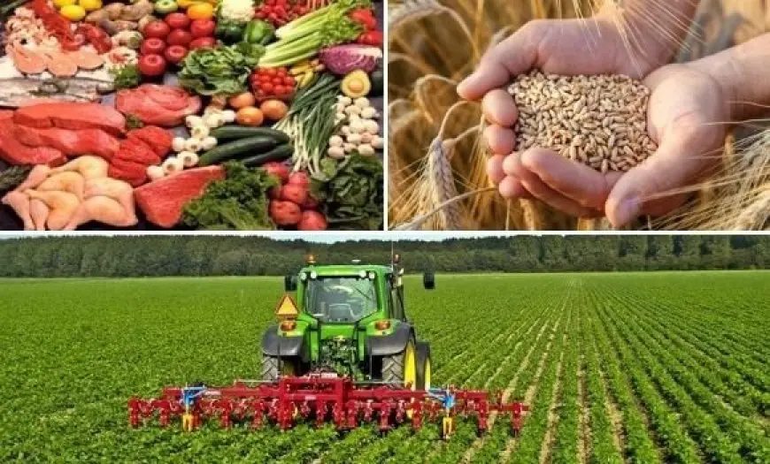 مصر تحقق الاستقرار الغذائي في وسط الأزمات الإقليمية!