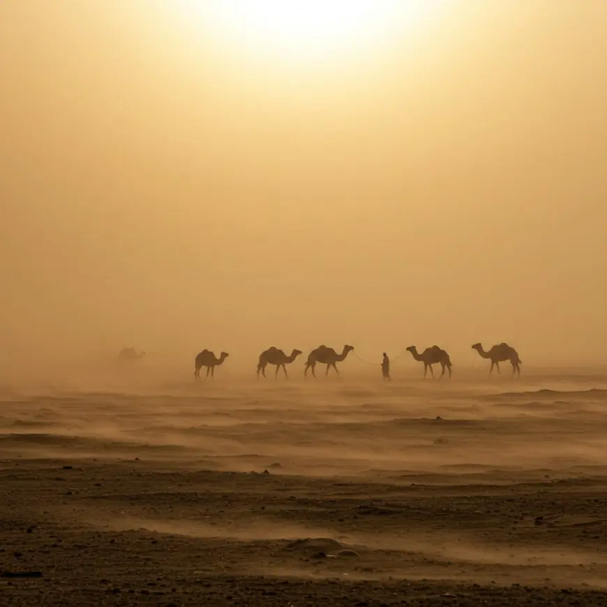 التنبؤات الجوية ليوم السبت: درجات حرارة قياسية تضرب مناطق واسعة وتحذيرات من ظاهرة خطيرة
