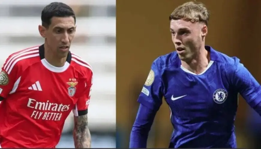 سارع بمشاهدة التشكيلة النارية لمواجهة تشيلسي وبنفيكا في كأس العالم للأندية اليوم!