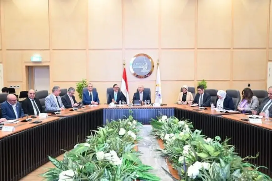 “مفاجأة مصرية تدفع صناعة السيارات نحو الكهرباء! اكتشف التعديلات المغرية”