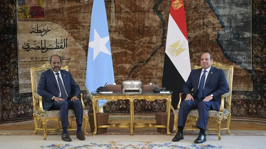 لقاء حاسم بين السيسي والرئيس الصومالي لمناقشة الأوضاع الإقليمية – لن تصدق ما حدث!