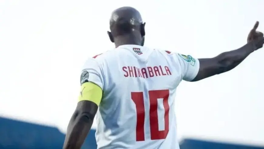 باريس سان جيرمان يُفجر الإعجاب بشيكابالا بعد تأهلهم لنهائي كأس العالم للأندية! لن تصدق ما حدث في الفيديو!