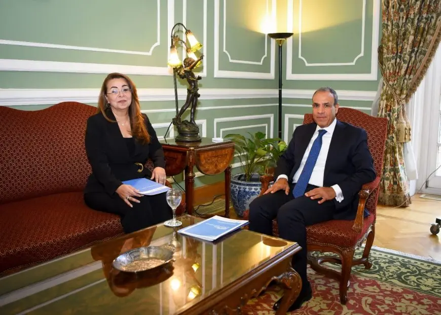 وزير الخارجية يشيد بإنجازات غادة والي على الساحة الدولية!