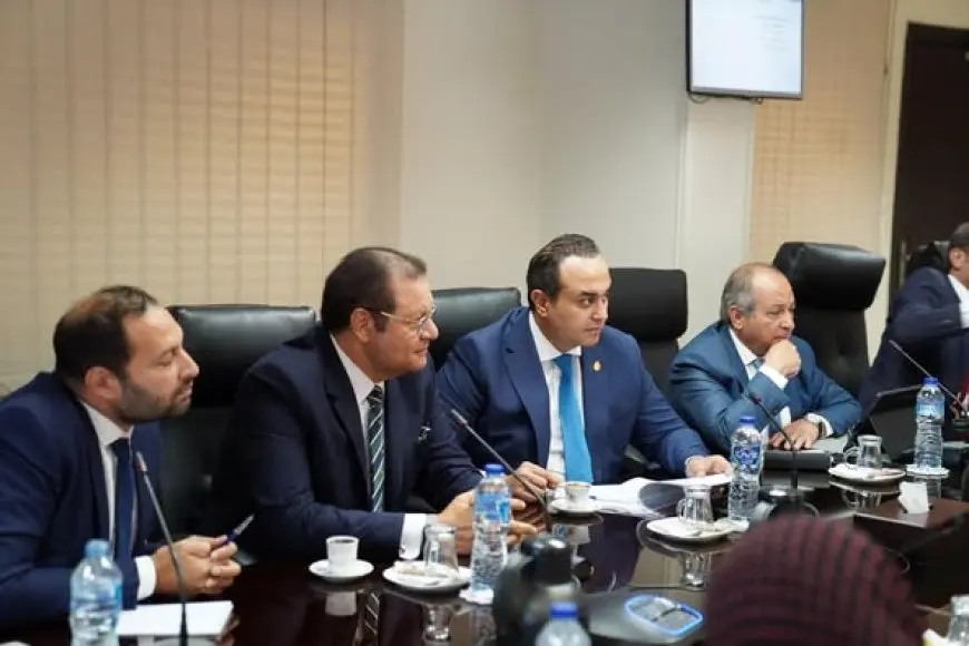السر الكامن وراء قوة النظام الصحي أمام التحديات العالمية: الإرادة السياسية