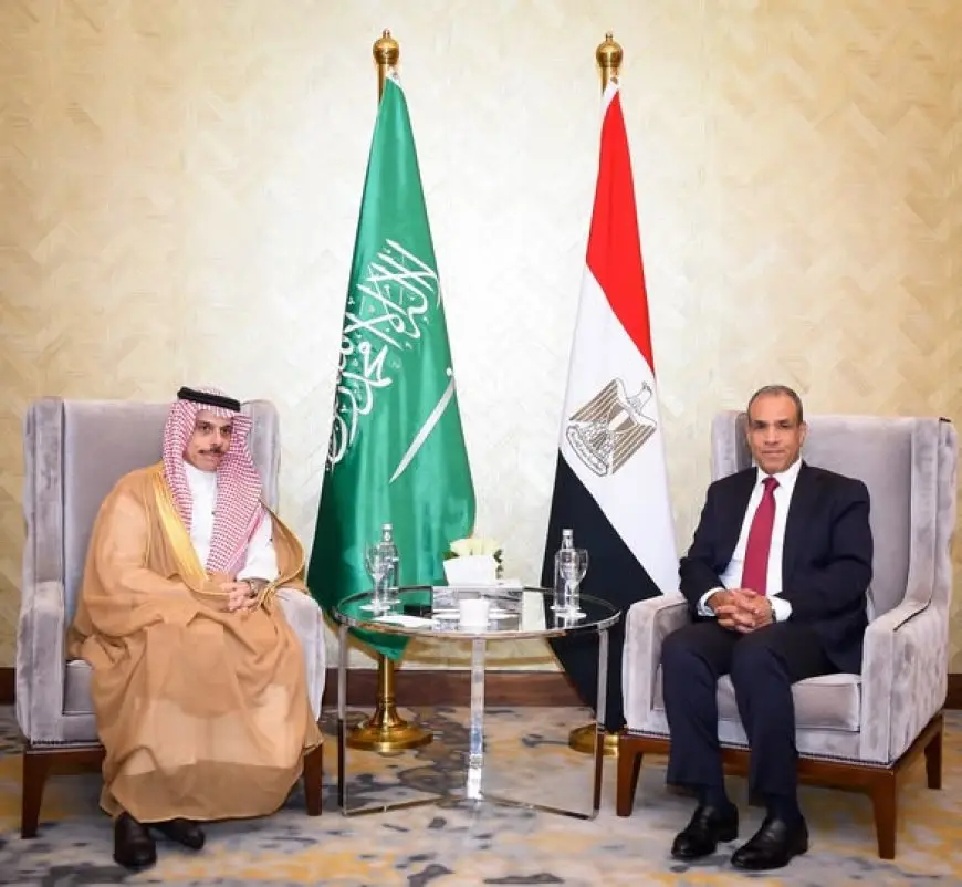 وزير الخارجية يهدد بإجراءات قوية ضد أي محاولات للتدخل في العلاقات المصرية السعودية!