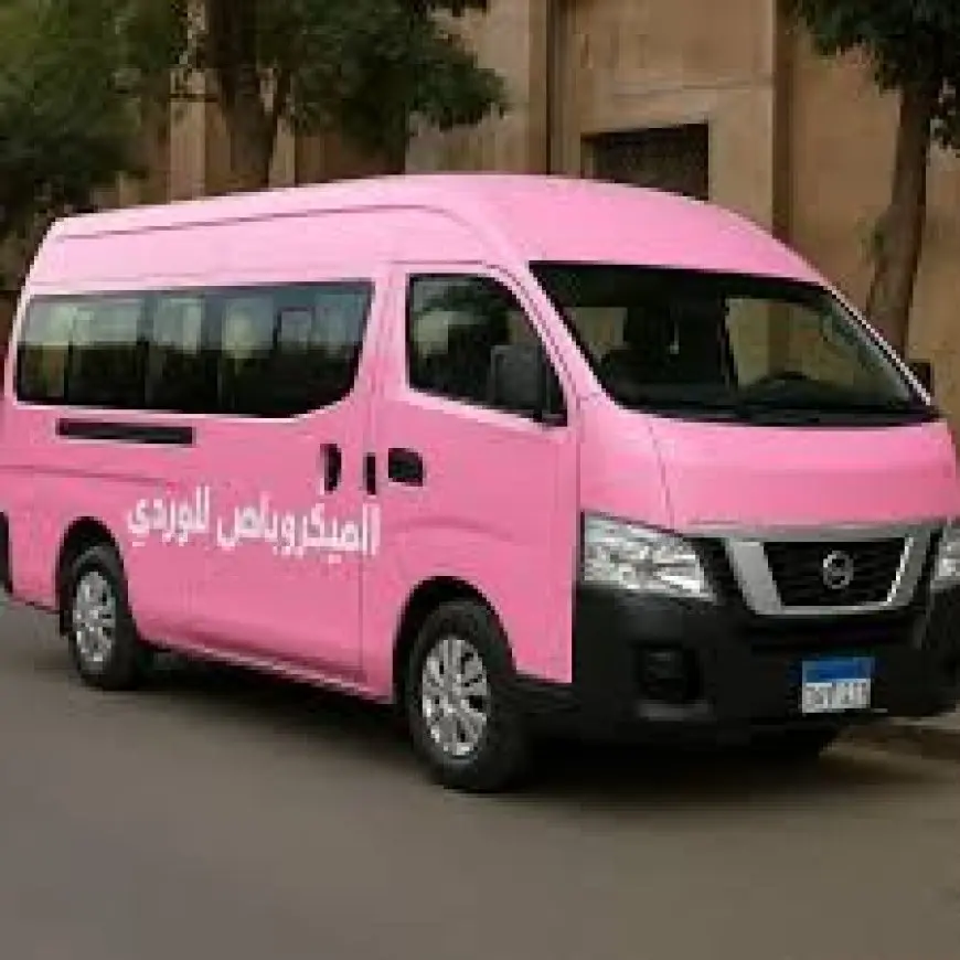اكتشفوا أحدث ابتكار للنقل العام: ميكروباص وردي يُخصص للبنات فقط لتجنب المضايقات في الطريق!