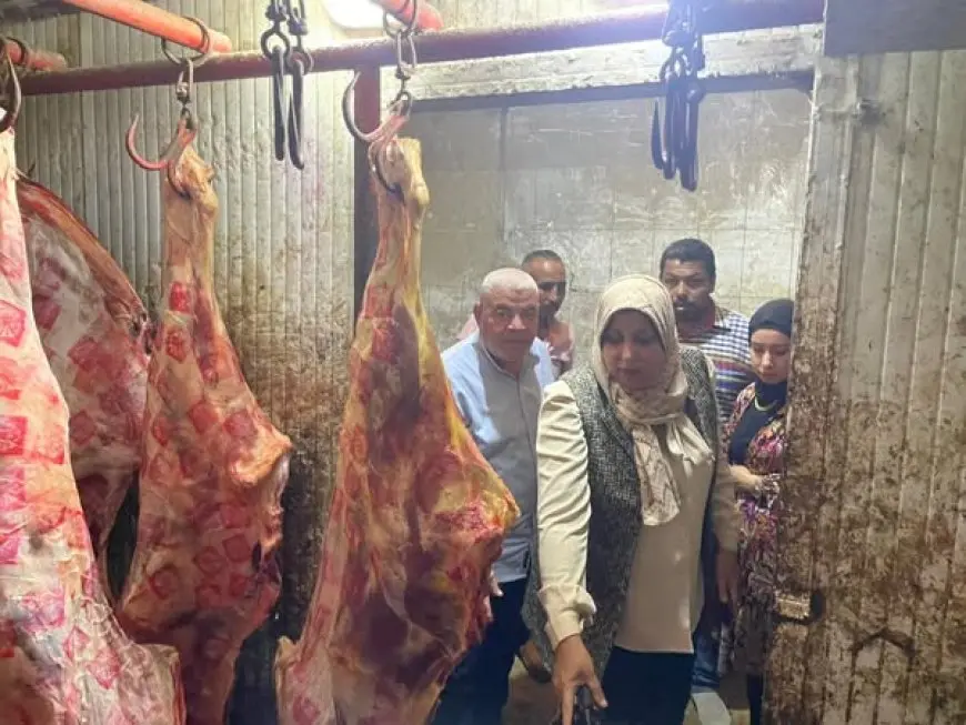 مفاجأة مدوية في قويسنا.. ضبط 5 أطنان لحوم مذبوحة خارج المجازر!
