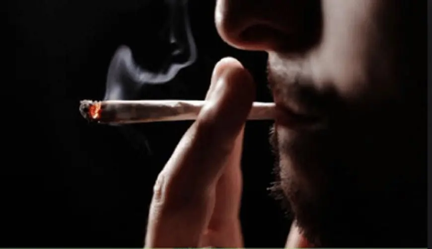 جدل حول فتوى سعاد صالح بشأن الحشيش! ماذا يقول صندوق مكافحة الإدمان؟
