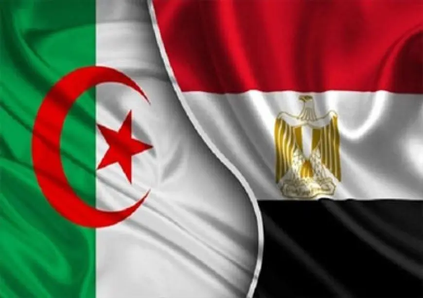 مصر والجزائر تتعاونان لتعزيز العلاقات الثنائية ومناقشة القضايا الإقليمية والدولية