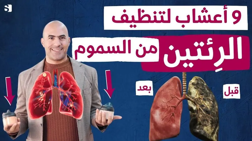 معجزة بكل المقاييس.. طريقة عبقرية لتنظيف الرئة من دخان السجائر والنيكوتين والسموم في 3 أيام فقط