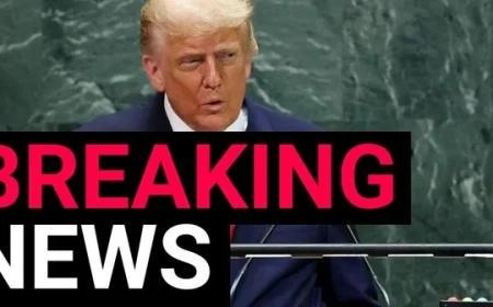 Sharia Law Explained: What Is Sharia Law, Its Sources, Practices, and Global Impact