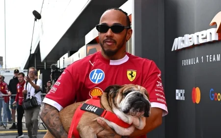 Lewis Hamilton Provides Health Update on Dog Roscoe Following Tyre Test Withdrawal