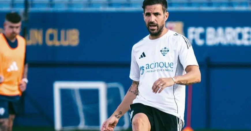 مدرب تشيلسي السابق يكشف عن شغف فابريغاس بالتدريب منذ أيامه كلاعب
