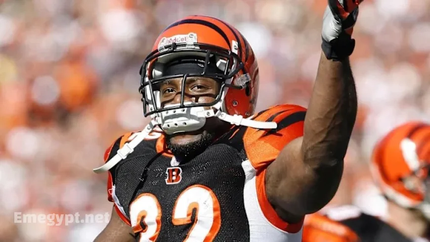 Former Bengals Running Back Rudi Johnson Dies at 45, Leaving Lasting Legacy