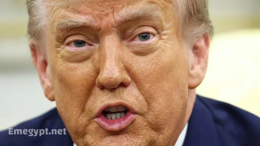 Trump Predicts Rising Violence After ICE Shooting Alarming The Left