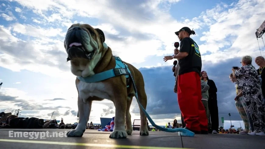 Lewis Hamilton Shares Heartfelt Tribute as Beloved Dog Roscoe Passes After Health Struggles