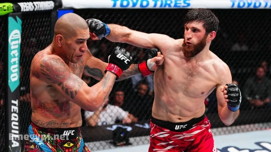 Pereira Reveals He Faced Ankalaev at Only 40 Percent Capacity